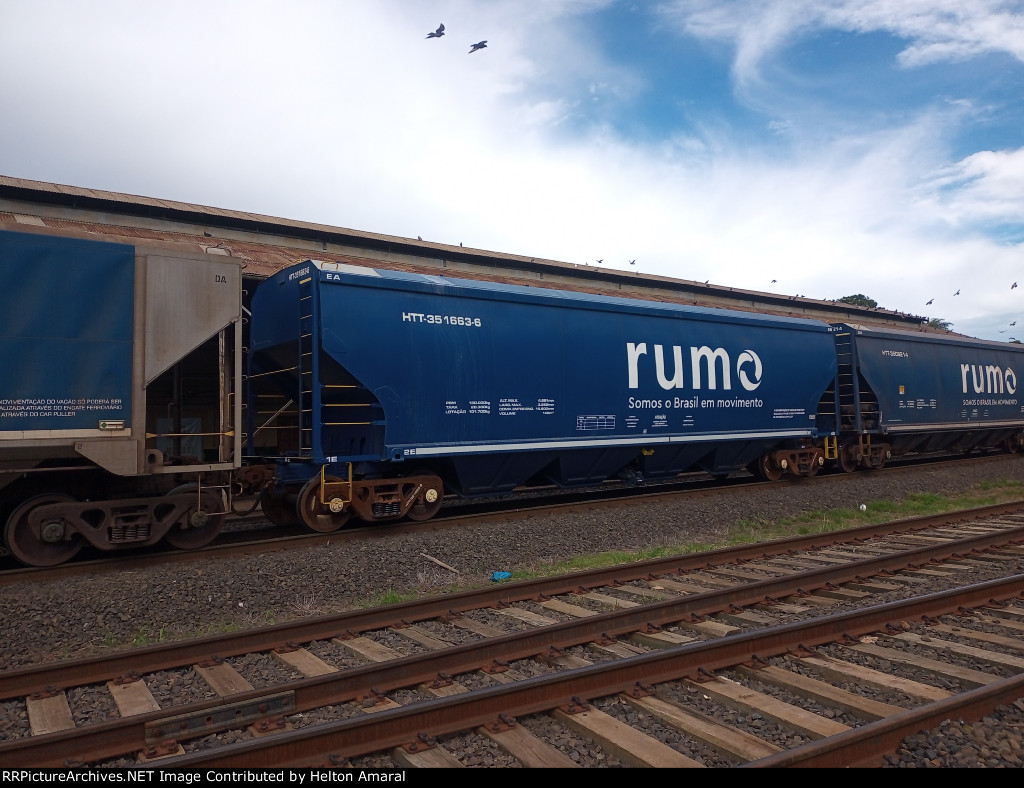 RUMO HTT-351663-5